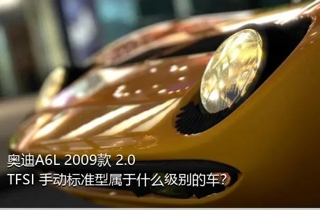 奥迪A6L 2009款 2.0 TFSI 手动标准型属于什么级别的车？