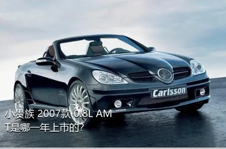 小贵族 2007款 0.8L AMT是哪一年上市的？