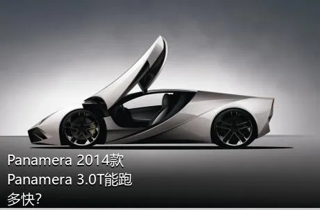 Panamera 2014款 Panamera 3.0T能跑多快？