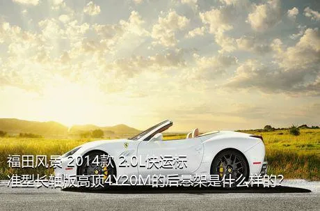 福田风景 2014款 2.0L快运标准型长轴版高顶4Y20M的后悬架是什么样的？