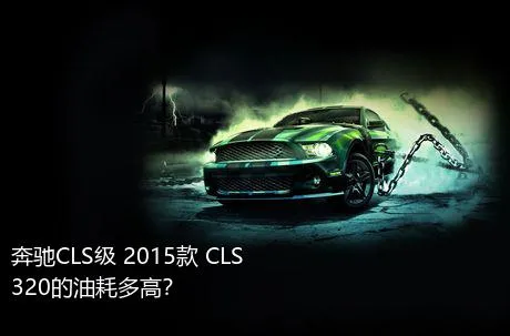 奔驰CLS级 2015款 CLS 320的油耗多高？