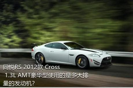 同悦RS 2012款 Cross 1.3L AMT豪华型使用的是多大排量的发动机？