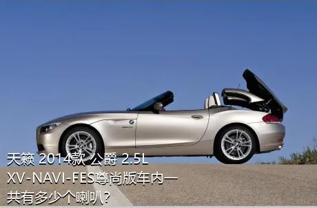 天籁 2014款 公爵 2.5L XV-NAVI-FES尊尚版车内一共有多少个喇叭？