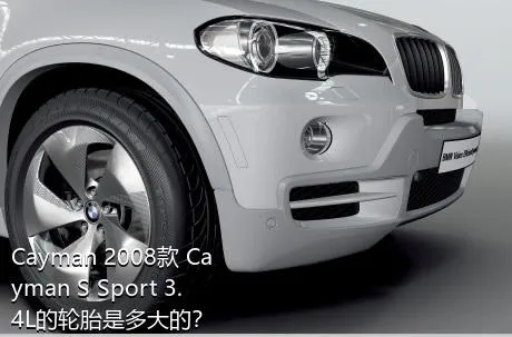 Cayman 2008款 Cayman S Sport 3.4L的轮胎是多大的？