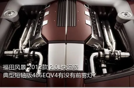 福田风景 2012款 2.0L快运经典型短轴版486EQV4有没有前雾灯？