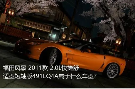 福田风景 2011款 2.0L快捷舒适型短轴版491EQ4A属于什么车型？