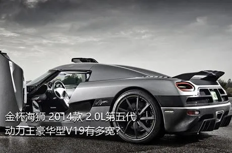 金杯海狮 2014款 2.0L第五代动力王豪华型V19有多宽？