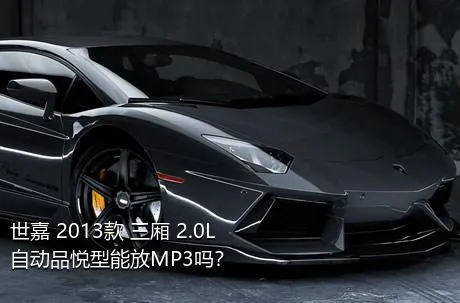 世嘉 2013款 三厢 2.0L 自动品悦型能放MP3吗？