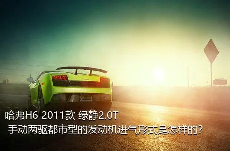 哈弗H6 2011款 绿静2.0T 手动两驱都市型的发动机进气形式是怎样的？