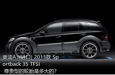 奥迪A3(进口) 2013款 Sportback 35 TFSI 尊贵型的轮胎是多大的？