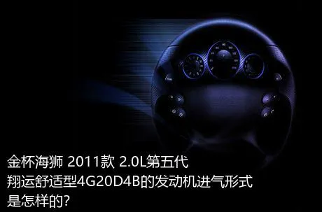 金杯海狮 2011款 2.0L第五代翔运舒适型4G20D4B的发动机进气形式是怎样的？