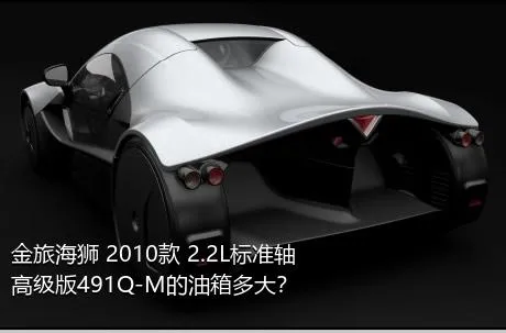 金旅海狮 2010款 2.2L标准轴高级版491Q-M的油箱多大？