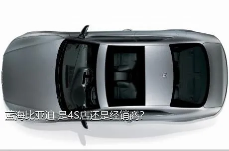 蓝海比亚迪 是4S店还是经销商？