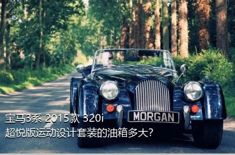 宝马3系 2015款 320i 超悦版运动设计套装的油箱多大？