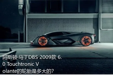 阿斯顿·马丁DBS 2009款 6.0 Touchtronic Volante的轮胎是多大的？