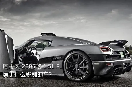 周末风 2005款 1.5L FL属于什么级别的车？