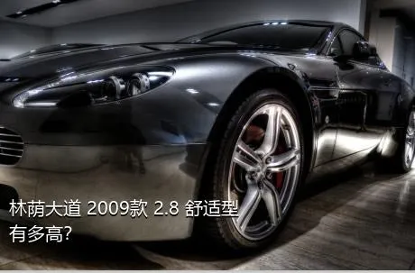 林荫大道 2009款 2.8 舒适型有多高？