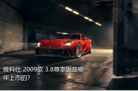 雅科仕 2009款 3.8尊享版是哪一年上市的？
