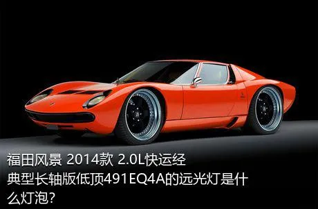 福田风景 2014款 2.0L快运经典型长轴版低顶491EQ4A的远光灯是什么灯泡？