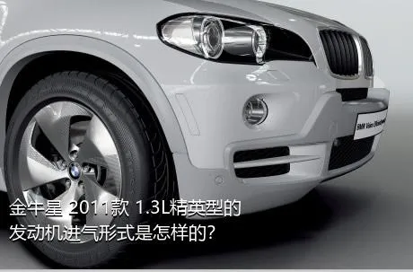 金牛星 2011款 1.3L精英型的发动机进气形式是怎样的？