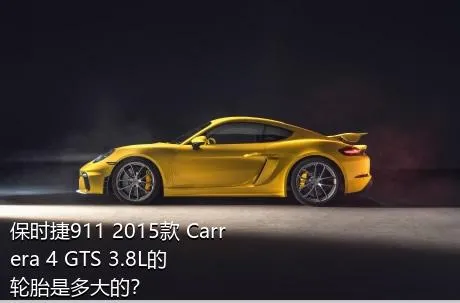 保时捷911 2015款 Carrera 4 GTS 3.8L的轮胎是多大的？