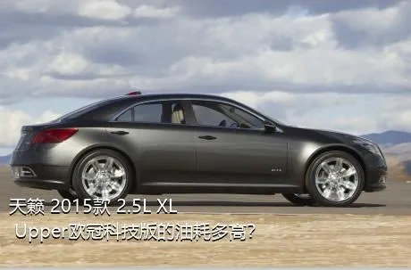 天籁 2015款 2.5L XL Upper欧冠科技版的油耗多高？