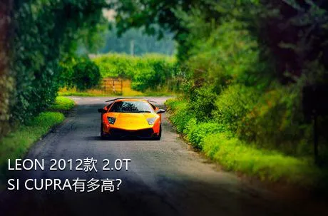 LEON 2012款 2.0TSI CUPRA有多高？