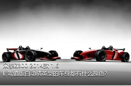 众泰Z300 2014款 1.6L 驾值版自动精英型的车身都有什么颜色？