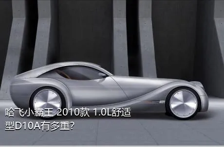 哈飞小霸王 2010款 1.0L舒适型D10A有多重？