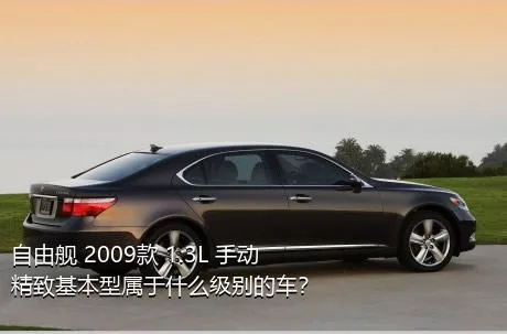 自由舰 2009款 1.3L 手动精致基本型属于什么级别的车？