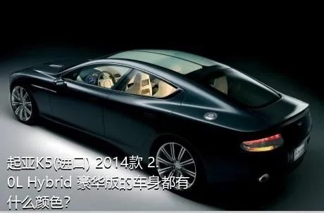 起亚K5(进口) 2014款 2.0L Hybrid 豪华版的车身都有什么颜色？