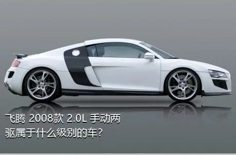 飞腾 2008款 2.0L 手动两驱属于什么级别的车？