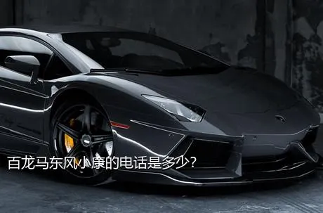 百龙马东风小康的电话是多少？