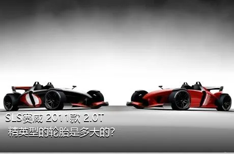 SLS赛威 2011款 2.0T 精英型的轮胎是多大的？