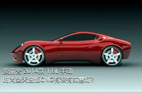 爱丽舍 2014款 1.6L 手动时尚型天窗版CNG有没有前雾灯？
