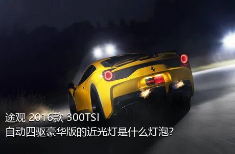 途观 2016款 300TSI 自动四驱豪华版的近光灯是什么灯泡？