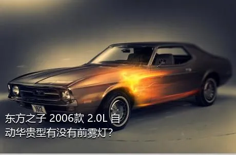 东方之子 2006款 2.0L 自动华贵型有没有前雾灯？