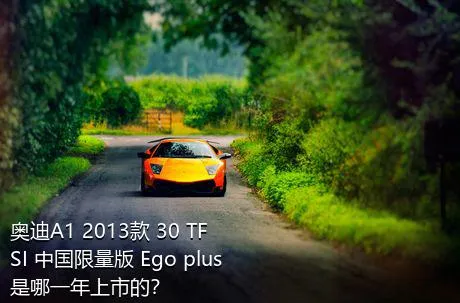 奥迪A1 2013款 30 TFSI 中国限量版 Ego plus是哪一年上市的？