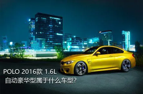 POLO 2016款 1.6L 自动豪华型属于什么车型？