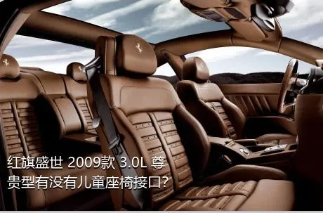 红旗盛世 2009款 3.0L 尊贵型有没有儿童座椅接口？