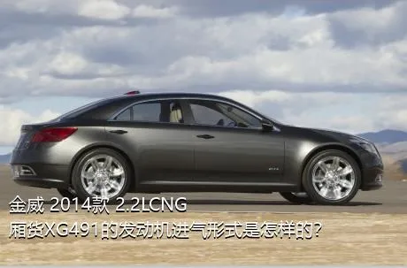 金威 2014款 2.2LCNG厢货XG491的发动机进气形式是怎样的？