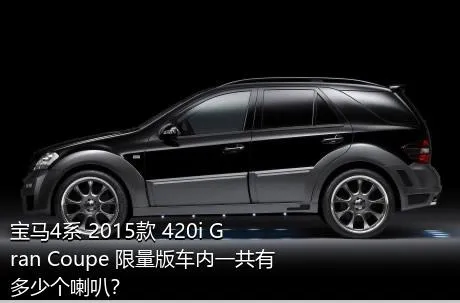 宝马4系 2015款 420i Gran Coupe 限量版车内一共有多少个喇叭？