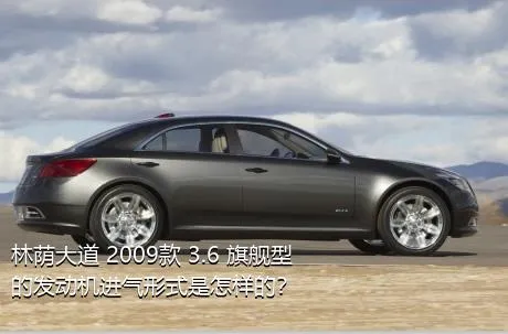林荫大道 2009款 3.6 旗舰型的发动机进气形式是怎样的？