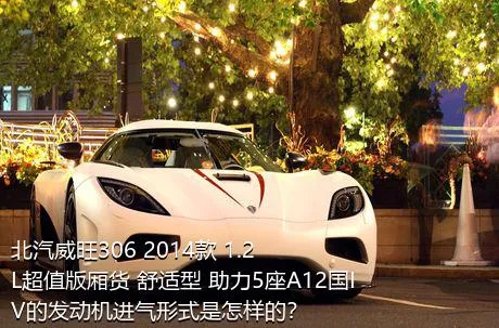 北汽威旺306 2014款 1.2L超值版厢货 舒适型 助力5座A12国IV的发动机进气形式是怎样的？