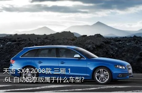 天语 SX4 2008款 三厢 1.6L 自动悦享版属于什么车型？
