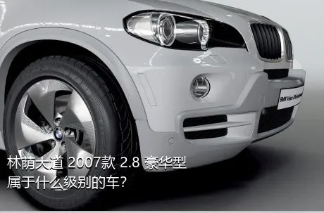 林荫大道 2007款 2.8 豪华型属于什么级别的车？