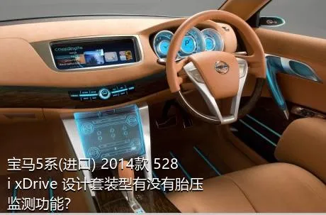 宝马5系(进口) 2014款 528i xDrive 设计套装型有没有胎压监测功能？