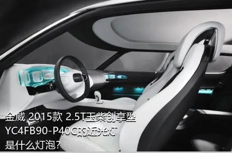 金威 2015款 2.5T玉柴创享型YC4FB90-P40C的近光灯是什么灯泡？