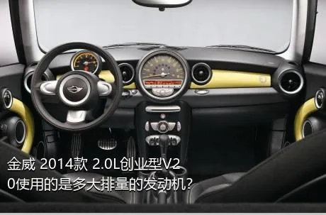 金威 2014款 2.0L创业型V20使用的是多大排量的发动机？
