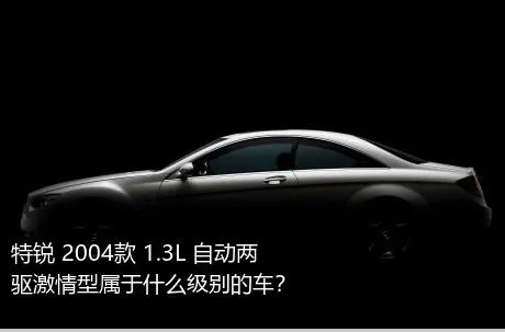 特锐 2004款 1.3L 自动两驱激情型属于什么级别的车？